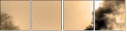 29517510