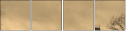 29517691