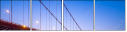 304313822