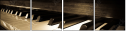 30665978