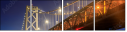 313371516