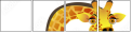 32346433