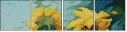 33565665
