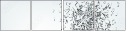 34460464