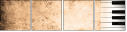 36435334