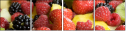 3721630