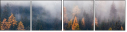 376054933