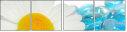 38339114