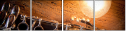 39661645
