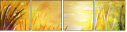 39736454