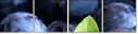 4030305