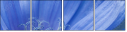 42882077