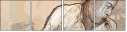 42960338
