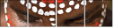 4332729