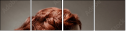 43988971