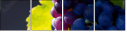 452305