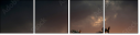 45981925