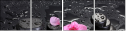 47124830