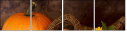 4889858