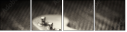 51861338