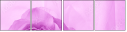 52109021