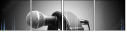 52239812