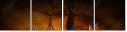52289605