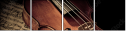 53848073
