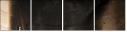 54029258