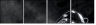 55593987