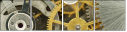 56949725