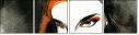 59576082