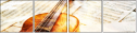 60252924