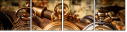 60461006