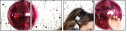 61002788