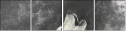 61243496