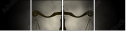 61356918