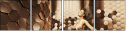 62549732