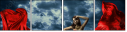 64282038