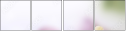 65612504