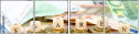 66864562