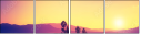 67236047