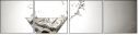 68770141