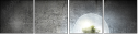 76193706