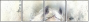 76649647