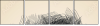 80036586