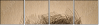 80258727