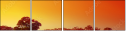 8892424