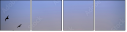 90650387
