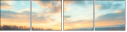 920067317